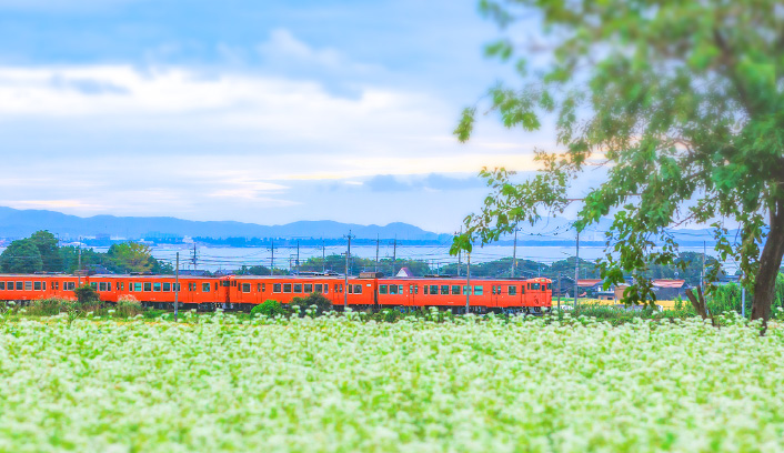 日本海と田園、まちと人 山陰のまんなかを堪能