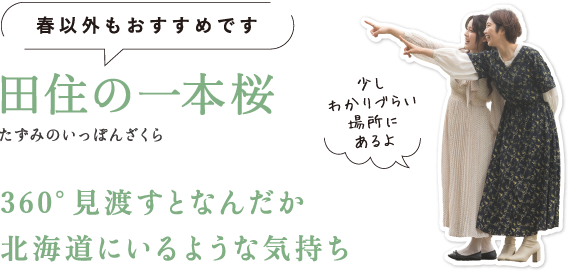 春以外もおすすめです 田住の一本桜（たずみのいっぽんざくら） 360°見渡すとなんだか北海道にいるような気持ち