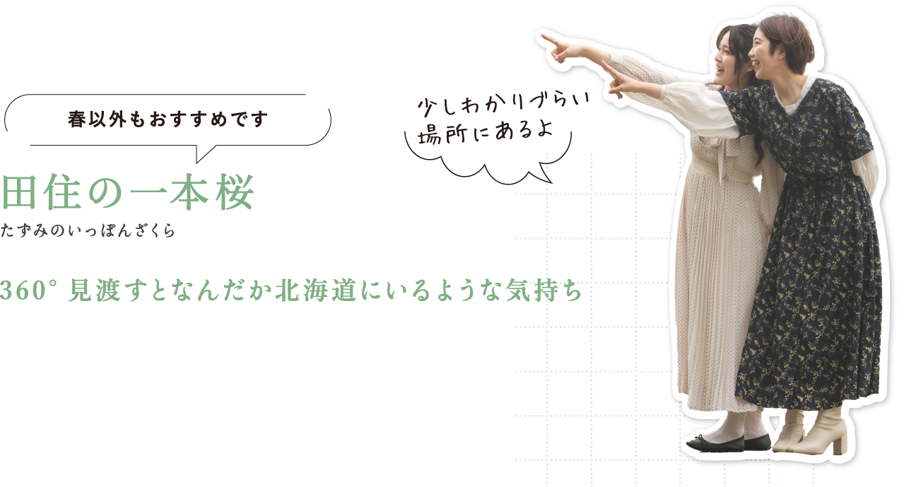 春以外もおすすめです 田住の一本桜（たずみのいっぽんざくら） 360°見渡すとなんだか北海道にいるような気持ち